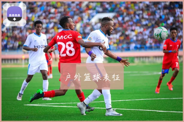 户外篮球表征