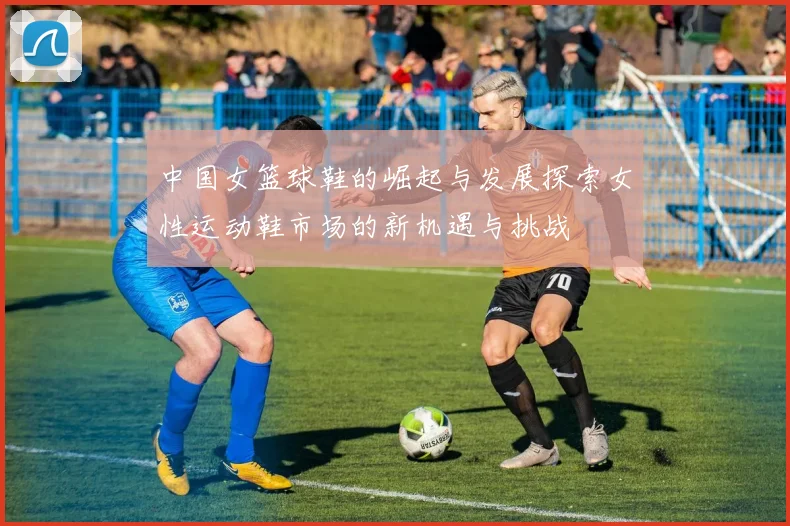 中国女篮球鞋的崛起与发展探索女性运动鞋市场的新机遇与挑战